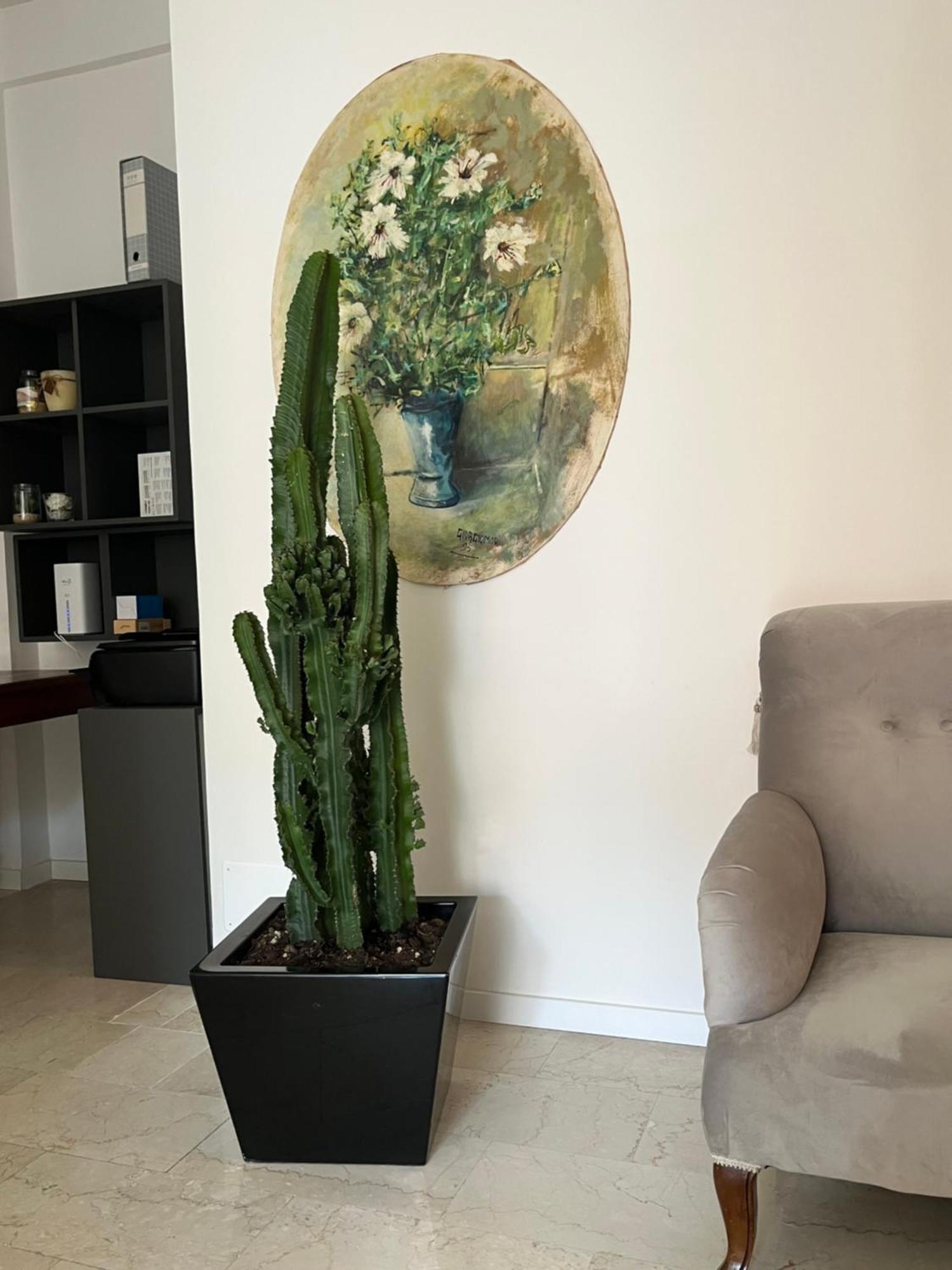 베로나 Fleur Blanche B&B 외부 사진